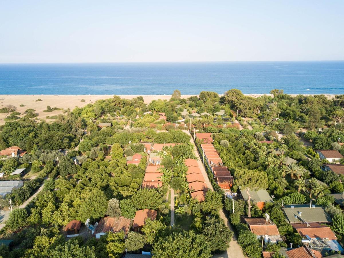 Serenity Bungalows Çıralı Zewnętrze zdjęcie