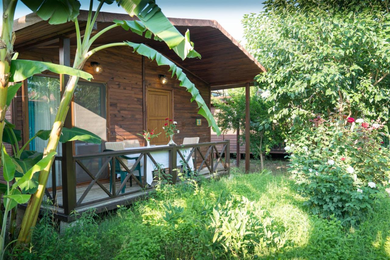 Serenity Bungalows Çıralı Zewnętrze zdjęcie
