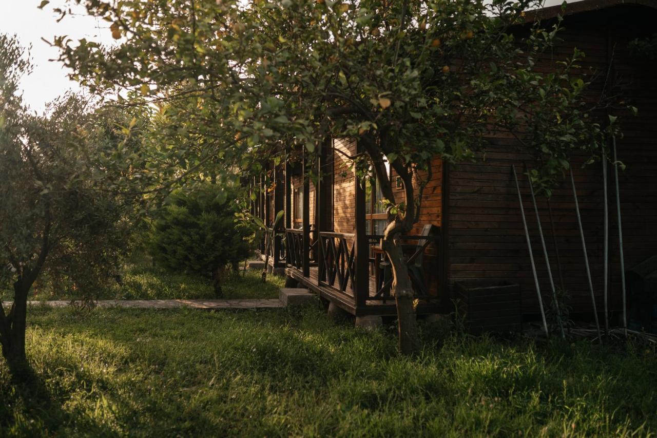 Serenity Bungalows Çıralı Zewnętrze zdjęcie