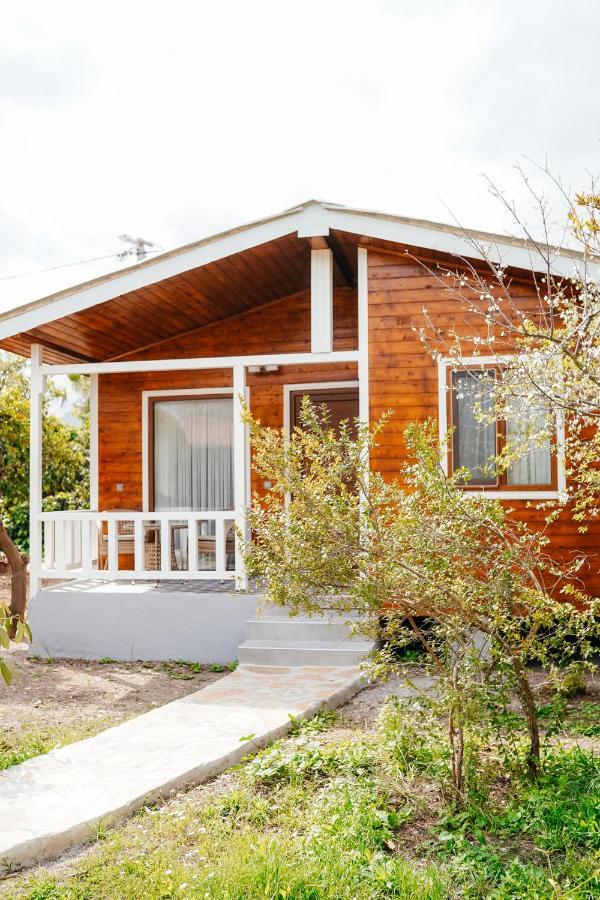 Serenity Bungalows Çıralı Zewnętrze zdjęcie